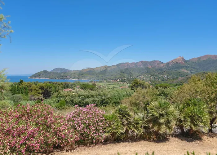 Apartment Il Golfo *